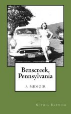 Benscreek, Pennsylvania: a memoir