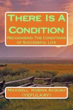 There Is A Condition: RecognisingThe Conditions of Successful Life