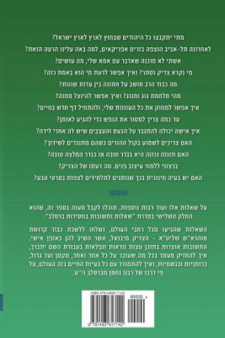 Breslov Responsa (Hebrew Volume 3)