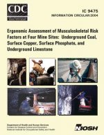 Ergonomic Assessment of Musculoskeletal Risk Factors at Four Mine Sites: Underground Coal, Surface Copper, Surface Phosphate, and Underground Limeston