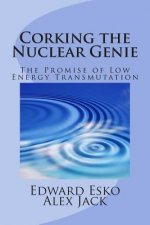 Corking the Nuclear Genie: The Promise of Low Energy Transmutation