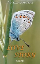 Love Story: Poveste de Dragoste