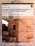 Terrestrial Vegetation and Soils Monitoring at Gila Cliff Dwellings National Monument: 2009 Status Report