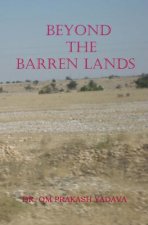 Beyond The Barren Lands