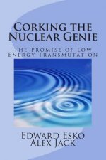 Corking the Nuclear Genie: The Promise of Low Energy Transmutation