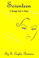 Seventeen: A Teenage Soul in Poetry