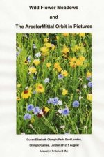 Wild Flower Meadows and the Arcelormittal Orbit in Pictures: Olympic Legacy