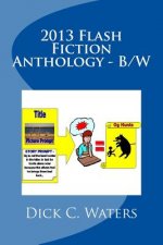 2013 Flash Fiction Anthology - B/W: 41 