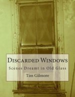 Discarded Windows: Scenes Dreamt in Old Glass