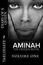 Diary of a Queen: Aminah: The Hidden Royal