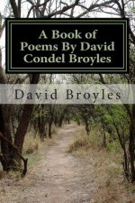 A Book of Poems By David Condel Broyles: Poems serious and comical from my life