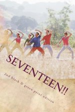 Seventeen!!: Short stories & Kurzgeschichten - A German-English Reader