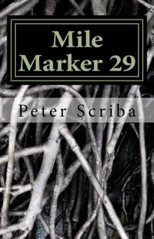 Mile Marker 29