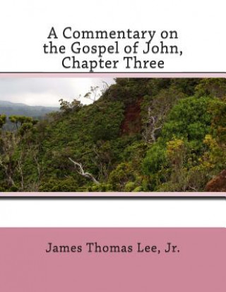 Commentary on the Gospel of John, Chapter Three