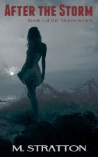 After the Storm: Book 1 in the Storm Series