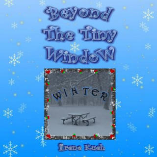 Beyond The Tiny Window: Winter