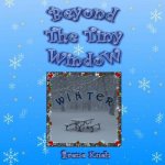 Beyond The Tiny Window: Winter