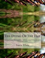 The Dying Of The Hay: miniature thoughts, ideas, and blackouts