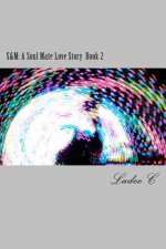 S&m: A Soul Mate Love Story Book 2