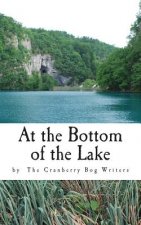 At the Bottom of the Lake