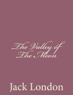 The Valley of The Moon