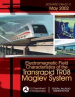 Electromagnetic Field Characteristics of the Transrapid TR08 Maglev System