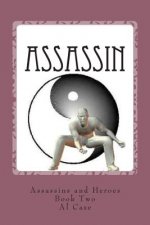 Assassin (Assassins and Heroes): What the Heaven is Going On?