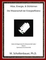 Hitze, Energie, & Glühbirnen: Die Wissenschaft der Energieeffizienz: Daten & Diagramme für Wissenschaft Labor: Band 1