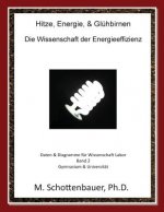 Hitze, Energie, & Glühbirnen: Die Wissenschaft der Energieeffizienz: Daten & Diagramme für Wissenschaft Labor: Band 2
