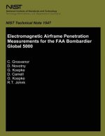 Electromagnetic Airframe Penetration Measurement for the FAA Bombardier Global 5000