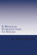 A Mystical Introduction to Angels: Getting to Know Kingdom Resources