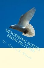 Describing Scenes from Pictures