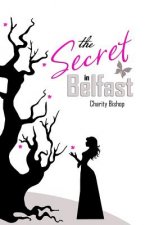 Secret in Belfast