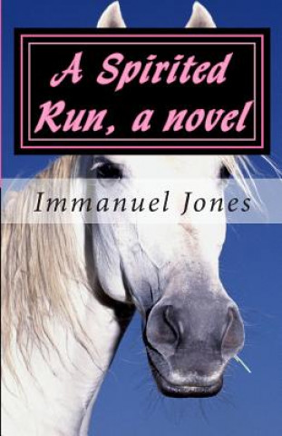 A Spirited Run, a novel