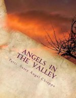 Angels In The Valley: A Devotional For Cancer Patients