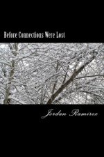 Before Connections Were Lost: The Prequel to Lost Connections