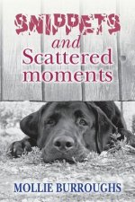 Snippets and Scattered moments
