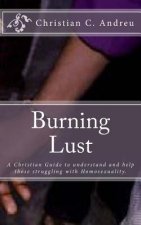 Burning Lust: A Christian Guide to understand and help those struggling with Homosexuality.