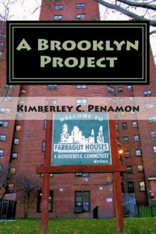 A Brooklyn Project: Urban Book of Poems inspired by Farragut Projects