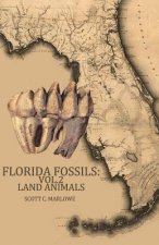 Florida Fossils: Land Animals