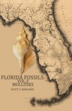 Florida Fossils: Mollusks