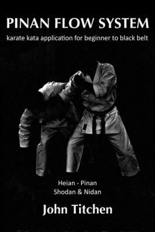 Pinan Flow System: Heian - Pinan Shodan & Nidan: karate kata application for beginner to black belt