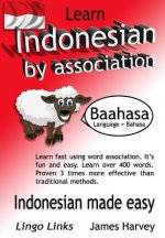 Learn Indonesian by Association - Indoglyphs: The easy playful way to learn a new language.