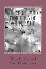 Symphony And Mornings Of White Satin: a novella