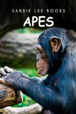 Apes - Sandie Lee Books