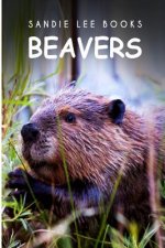 Beavers - Sandie Lee Books