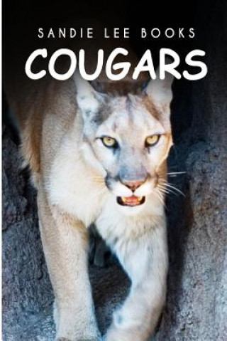 Cougars - Sandie Lee Books