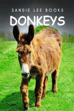 Donkeys - Sandie Lee Books