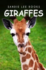 Giraffes - Sandie Lee Books