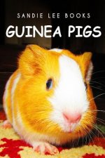 Guinea Pigs - Sandie Lee Books